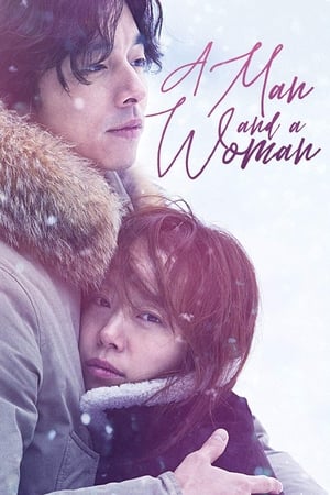 A Man and A Woman (2016) Hindi Dual Audio [950MB] HD Poster Download - Filmyzilla