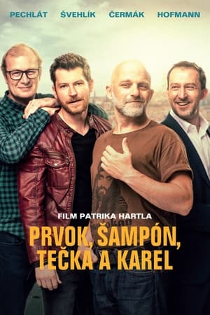 Friendship (2021) Hindi Movie [1GB] HD Poster Download - Filmyzilla