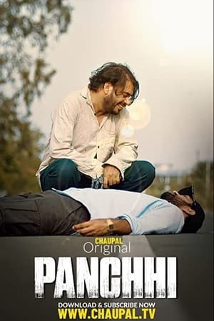 Panchhi 2021 Punjabi Movie – [300MB] HD Poster Download - Filmyzilla