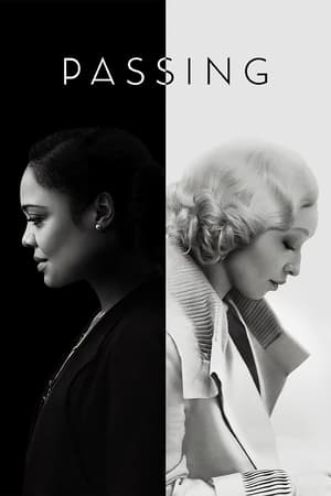Passing 2021 Hindi Dual Audio 320MB HD Poster Download - Filmyzilla