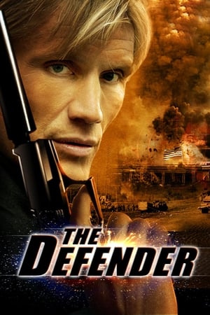 The Defender (2004) Hindi Dual Audio [1.2GB] HD Poster Download - Filmyzilla