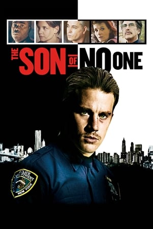 The Son of No One (2011) Hindi Dual Audio [900MB] HD Poster Download - Filmyzilla