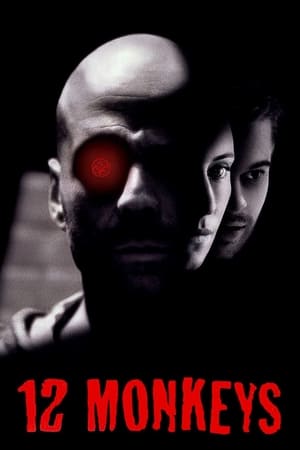 Twelve Monkeys (1995) Hindi Dual Audio Movie - 880MB HD Poster Download - Filmyzilla