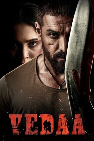 Vedaa 2024 Hindi HD Poster Download - Filmyzilla